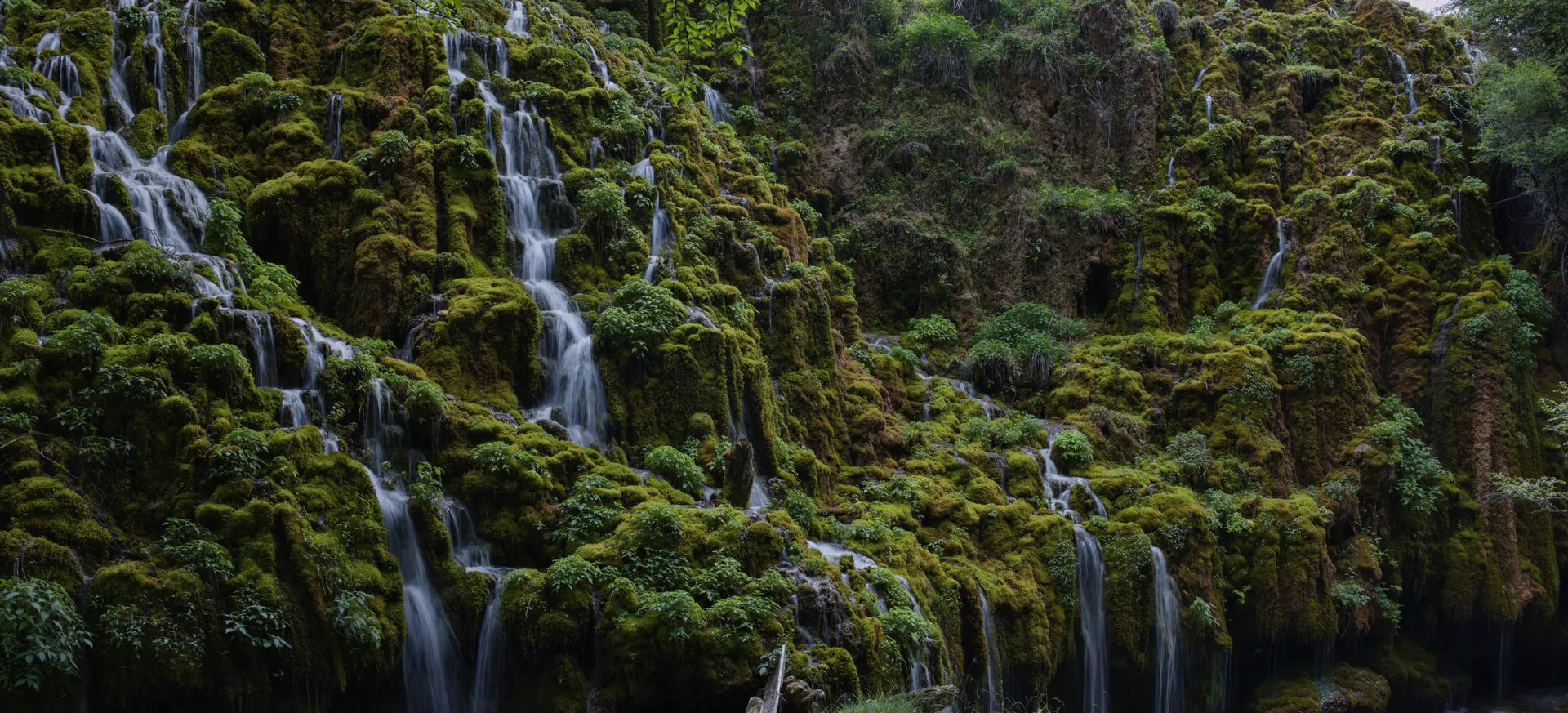 Moss-covered cliffs with dozens of thin waterfalls
