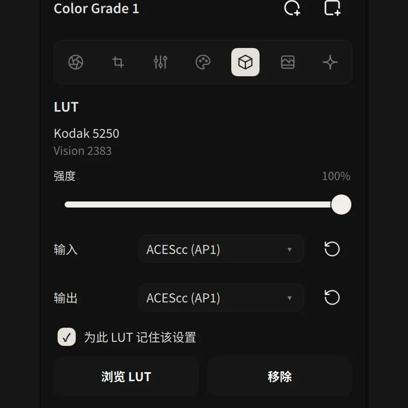 LUT 面板：强度、输入与输出编码，以及“为此 LUT 记住该设置”
